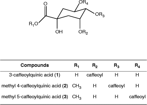 Figure 1.  Isolated Compounds from Saussurea triangulata