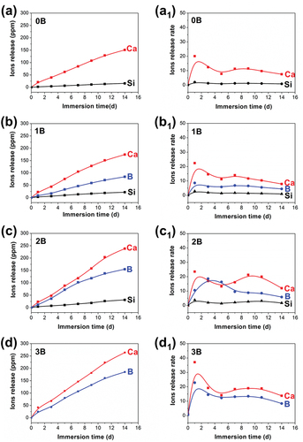 Figure 5. (a–d) Ions release and (a1–d1) ions release rate of 0B, 1B, 2B and 3B bioglasses after immersion in SBF at 37°C for different days.