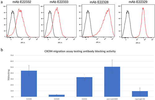 Figure 6. (a) Selected antibodies were tested by flow cytometry for binding to CXCR4-positive cells (blue) vs CXCR4-negative cells (red). (b) Selected antibodies were tested for the ability to block CXCR4-induced migration of Jurkat cells.