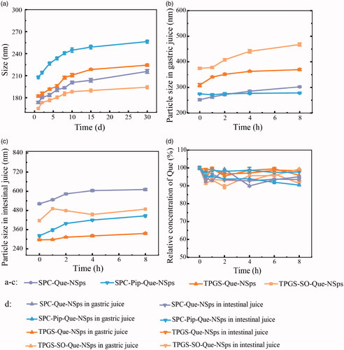 Figure 4. The stability of Que-NSps (mean ± SD, n = 3). Mean particle size change curves of Que-NSps during the storage at room temperature (a); the mean particle size change curves of Que-NSps during the incubation in artificial gastric fluid (b) or in artificial intestinal fluid (c) at 37 °C until 8 h; The concentration changes of Que in Que-NSps during the incubation in artificial gastric fluid or in artificial intestinal fluid at 37 °C until 8 h (d).