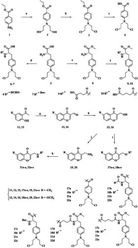 Scheme 1. Synthesis of 4, 6, 7, 9, 10, 17a–e, 18a–e, 21a–e and 22a–e. Reagents and conditions: (a) ethylene oxide, H2O, HCOOH, rt, 24 h; (b) POCl3, 50 °C, 0.5 h; (c) 10% HCl, rt, 12 h; (d) Ac2O, HCOOH, 50 °C, 5 h for compound 6; Boc2O, TEA, dioxane, rt, 3 h for compound 7; (e) SOCl2, MeOH, reflux, 12 h; (f) corresponding anhydride, DMAP, DCM, rt, overnight; (g) POCl3, DMF, −10 °C to rt, 8 h; (h) basic Al2O3, 2-propanol, 75 °C, 4 h; (i) 4/6/7/9/10, EDCI, DMAP, anhydrous DCM, rt, overnight; (j) PBr3, 0 °C to rt, 15 h; NH3·H2O, DMF, rt, overnight; (k) 4/6/7/9/10, EDCI, HOBt, anhydrous DCM, rt, 6 h.