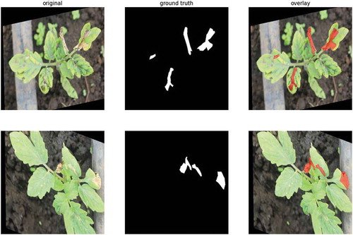 Figure 7. Augmented images with their corresponding annotations