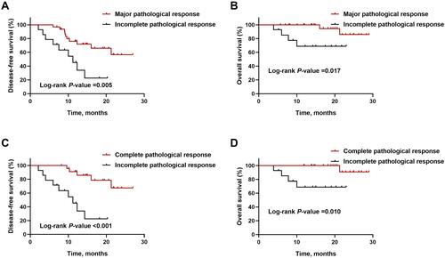 Figure 2 Kaplan-Meier survival curves stratified by pathological responses. (A and B) Disease-free survival (A) and overall survival (B) based on major pathological response. (C and D) Disease-free survival (C) and overall survival (D) based on complete pathological response.