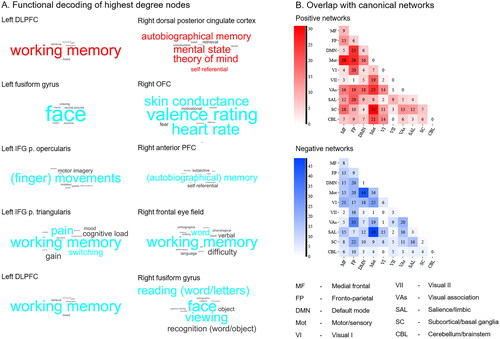 Figure 2. Identification of important nodes and networks. Part A presents the results of the decoding analysis with Neurosynth. Results from important nodes of the positive network are presented in red, results from the negative network in blue. The size of the words corresponds to the z-scores in Neurosynth. Part B shows the overlap of the positive (red) and negative (blue) networks with canonical networks. DLPFC: dorsolateral prefrontal cortex; IFG: inferior frontal gyrus; OFC: orbitofrontal cortex; PFC: prefrontal cortex.