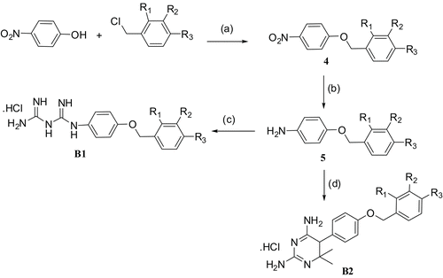 Scheme 2.  Scheme for the synthesis of B1 (01–07) and B2 (01–07). (a) K2CO3, CH3CN, reflux; (b) Sn/HCl, ethanol; (c) dicyandiamide, ethanol, reflux; (d) dicyandiamide, acetone, reflux.