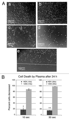 Figure 4. Cell death following plasma treatment. (A) Identical phase contrast microscope fields for (a) untreated and (c) 10s plasma treated keratinocytes and (b) untreated and (d) 10 sec plasma treated melanoma cells after 24h. The demarcation between treated and untreated cells is shown as a white line in (e). (B) These results are from a representative experiment with duplicate plates averaging 500–700 cells per plate prior to plasma treatment, (10 sec p = 0.0054)*, (30 sec p = 6 x 10−6)**