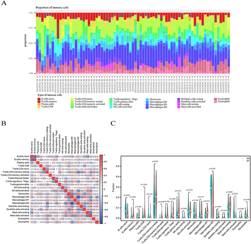 Figure 3 Visualization and assessment of immune cell infiltration. (A) The relative percentages of the 22 immune cell types in 75 left atrial appendage samples. Each color represents one cell type. (B) Heatmap showing the correlation of the 22 immune cell types. Red signifies a positive correlation, whereas blue indicates a negative correlation. (C) The fraction of infiltrating immune cells in the AF and SR groups. The SR group is denoted by the color blue, while the AF group is denoted by the color red. A significance level of P<0.05 was used to indicate statistical significance.