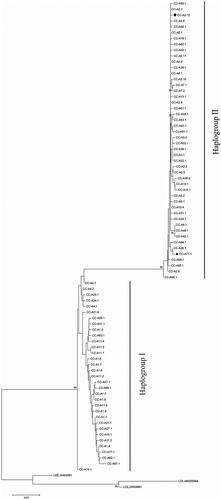 Figure 1. Neighbour-joining phylogenetic tree that highlights the two D-loop haplogroups also described in Shamblin et al. (Citation2014), and the position of the new haplotypes (▲ and ●) identified in this study for the first time.