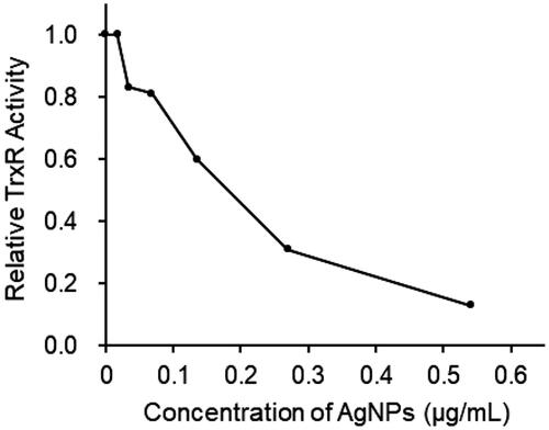 Figure 4. The inhibition of E.coli TrxR by AgNPs in vitro. The pure E. coli TrxR at 100 nM was incubated with indicated concentration of E.coli AgNPs for 10 min, then Trx at 5 μM Trx and 2 mM DTNB were added to assay the TrxR activity. The dosage of AgNPs were adjusted to the same concentration of silver ion, in detail, 0.54 μg/mL AgNPs is equal to 1 μM silver ion.