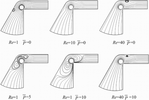 Figure 10. Flow patterns for the pump with θ = 30°.