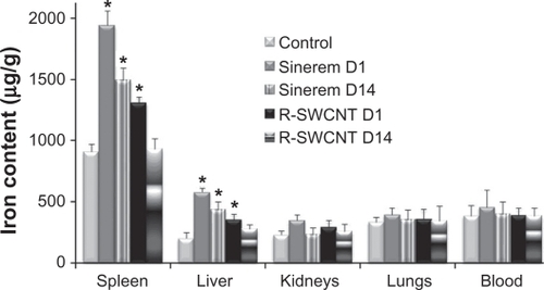 Figure 5 Iron content in μg/g of spleen, liver, kidneys, lungs, and blood for control, USPIO (day 1 and day 14) and raw SWCNT (day 1 and day 14) groups.Note: Asterisks indicate statistically different values from the control group (P < 0.05).Abbreviations: R, raw; SWCNT, single-walled carbon nanotubes; D1, day 1; D14, day 14.