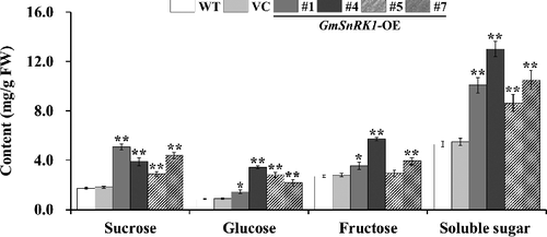 Figure 5. Sucrose, glucose, fructose and soluble sugar content in the leaves of WT and transgenic plants.