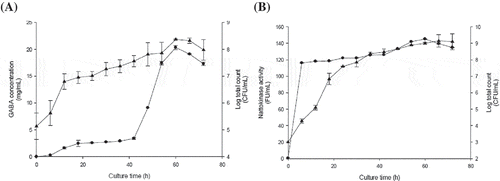 Figure 5. The GABA (A) and nattokinase (B) production in batch cultures of Bacillus subtilis. Symbols: (●) GABA or nattokinase levels when cultured in a 5 L fermenter; (▲) Bacillus subtilis counts when cultured in a 5 L fermenter. Data are expressed as the mean ± SD from three independent experiments.Figura 5. Producción de GABA (A) y de nattokinasa (B) en cultivos de lotes de Bacillus subtilis. Símbolos: (●) niveles de GABA o de nattokinasa cultivados en fermentador de 5 L; (▲) conteo de Bacillus subtilis cultivada en un fermentador de 5 L. Los datos son expresados como el medio ±DE de los tres experimentos independientes.