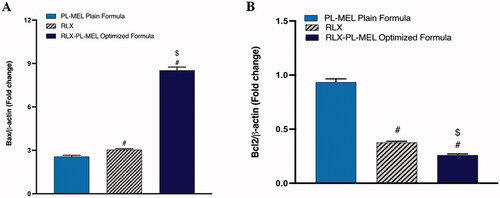 Figure 9. Effect of PL-MEL, RLX, or RLX-PL-MEL treatment on (A) Bax and (B) Bcl-2 proteins. Data are expressed as the fold change of mean ± SD of three independent experiments where #,$p<.0001. #Significant from PL-MEL plain formula, and $significant from RLX treated. Samples were normalized to β actin.