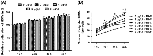 Fig. 2. Migration of HSCs was enhanced by the rTN-C treatment.