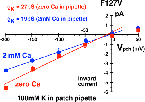 Figure 11a. Addition of 2 mM Ca decreased F127V inward single channel conductance from 27 ± 1pS (zero Ca, red line, n = 5 patches) to 19 ± 2pS (2 mM Ca, blue line) in 4 cell-attached F127V patches with 100 mM K in the pipette. Oocytes, with presumed 100 mM internal K, were depolarized to zero potential by 100 mM K in the bath. Hence the membrane patch potential, Vpch (in-out), equals the negative of the pipette command potential. Outward currents with Ca in the pipette were too small to be reliably resolved at positive potentials and were excluded from the linear fit.