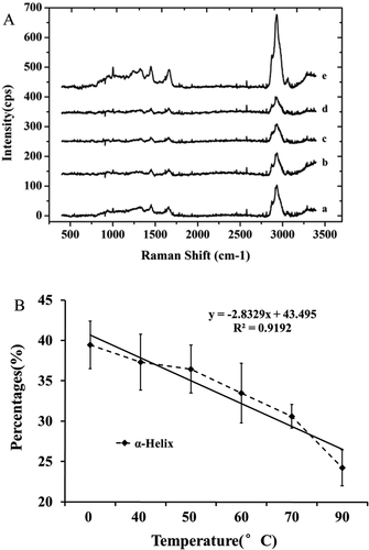 Figure 2. Raman spectra (a) and changes of α-helix content of myosin (b) were profiled at different heating temperature.a, b, c, d, and e represented the profiles at 40, 50, 60, 70, and 90°C, respectively.