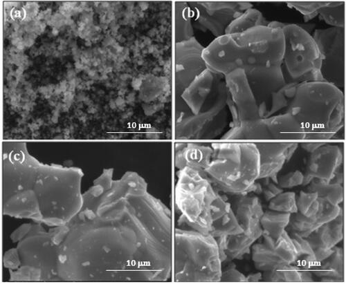 Figure 5. SEM images of the prepared nanopowders: undoped (a) and Eu-doped ZnO samples.