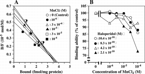 Figure 4. Effect of manganese chloride on [3H]haloperidol binding to striatal membrane preparation in vitro. A. Scratchad analysis. The values of Bmax represent the points of intersection on the horizontal axis. The value of Kd expresses the binding affinity that is calculated by an equation, Kd = Bmax/(B/F). B. Dose‐response curve. Effect of manganese chloride on [3H]haloperidol binding were determined in the presence of 10.4, 8.33, 4.16, and 2.1 × 10− 10 M haloperidol.