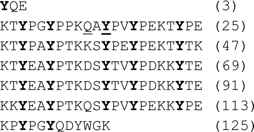 Figure 3. Illustration of the tandem repeat pattern identified in the EST derived sequence of Dpfp2 (AM229730). The sequence consists of five full repeats of a 22 residue consensus sequence KTY(P/E)AYPTK(Q/D)SYPVYPEKKYTE where non-italicized residues represent highly conserved residues. Each full repeat is on a new line and tyrosine residues with conserved positions within the consensus are indicated in bold. The underlined residues indicate post-translational modifications; Q and Y signify glutamine deamidation and tyrosine hydroxylation to DOPA, respectively.