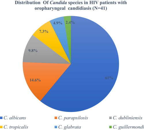 Figure 2 Distribution of different Candia species in HIV patients.