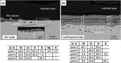 Figure 5. Cross-sectional BSE-SEM images of 100 wt.% sulphate salt covered Ni-25Cr after 300 h reaction in Ar-60CO2-20 H2O at 650°C.