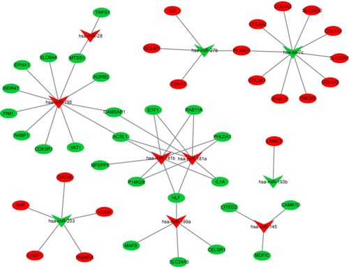 Figure 4 DEM–DEG pair network. Green nodes present downregulated genes or miRNA in EAC tissue. Red nodes present upregulated genes or miRNA in EAC tissue.