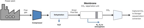 Figure 3. Process diagram for CO2 capture by membrane separation.