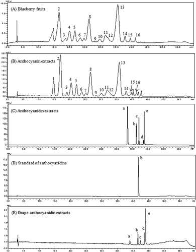 Figure 1. High-performance liquid chromatography chromatograms of anthocyanins and anthocyanidins from blueberry fruits and purified extracts detected at 520 nm. 1, Delphinidin-3-O-galactoside; 2, delphinidin-3-O-glucoside; 3, cyanidin-3-O-galactoside; 4, delphinidin-3-O-arabinoside; 5, cyanidin-3-O-glucoside; 6, petunidin-3-O-galactoside; 7, cyanidin-3-O-arabinoside; 8, petunidin-3-O-glucoside; 9, peonidin-3-O-galactoside; 10, petunidin-3-O-arabinoside; 11, peonidin-3-O-glucoside; 12, malvidin-3-O-galactoside; 13, malvidin-3-O-glucoside; 14, malvidin-3-O-arabinoside; 15, petunidin-3-O-xyloside; 16, malvidin-3-O-xyloside; a, delphinidin; b, cyanidin; c, petunidin; d, peonidin; e, malvidin.