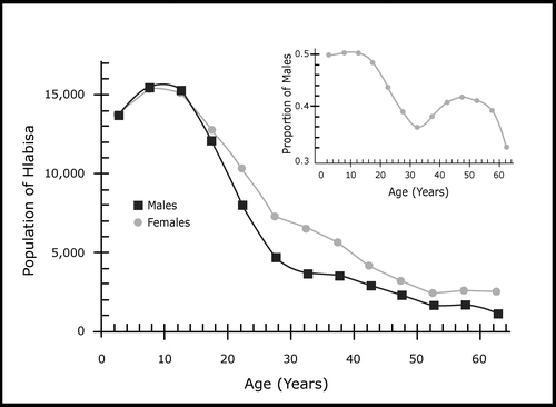 Figure 6: Demographic profile of Hlabisa