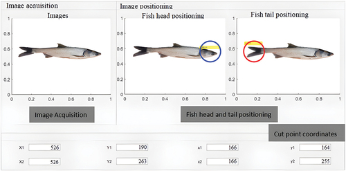 Figure 10. The display interface of cutting coordinates of fish head and tail.