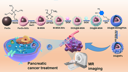 Scheme 1 Synthesis of DG@NPs and the mechanisms of diagnosis and treatment.