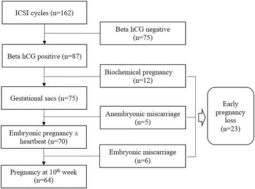 Figure 1 Flowchart of ICSI cycle outcomes.