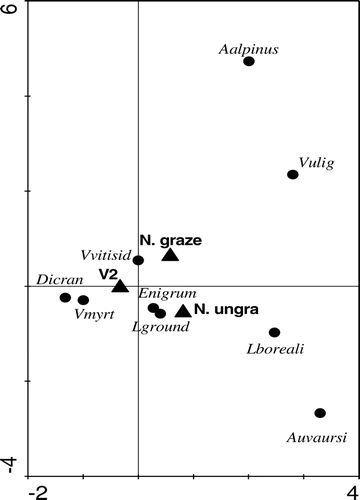 FIGURE 1 CCA analysis for study sites. Triangles refer to places as follows: V2 is the Värriö fell, N. graze is the grazed part of Nuortti, and N. ungra is ungrazed part is of Nuortti. Circles in the figure describe species as follows: Vmyrt  =  Vaccinium myrtillus, Dicran  =  Dicranum sp¸Vvitisid  =  Vaccinium vitis-idea, Vulig  =  Vaccinium uliginosum, Lboreali  =  Linnaea borealis, Auvaursi  =  Arctostaphylos uva-ursi, Aalpinus  = Arctostaphylos alpinus, Enigrum  =  Empetrum nigrum, Lground  =  lichens on ground. The eigen value of first eigenvector explains 8.4% of the species variance and the second eigenvector explains 12.6% of the species variance.