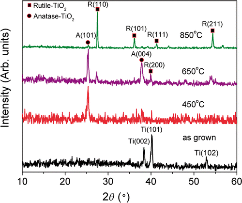 Figure 3. XRD patterns for TiO2 nanotubes annealed at different temperatures.