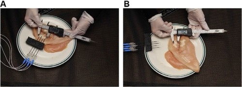 Figure 2 Sample lesion from experiment #2.
