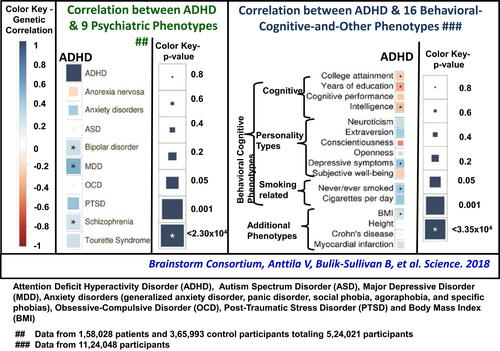 Figure 3 Correlation illustrating the shared genetics of adhd with selected psychiatric co-morbidities and behavioral-cognitive phenotypes.