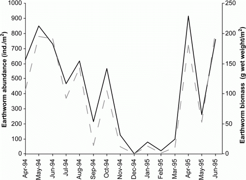 Figure 2  Seasonal changes in earthworm abundance (solid line) and fresh weight biomass (dashed line) in the dryland plots.