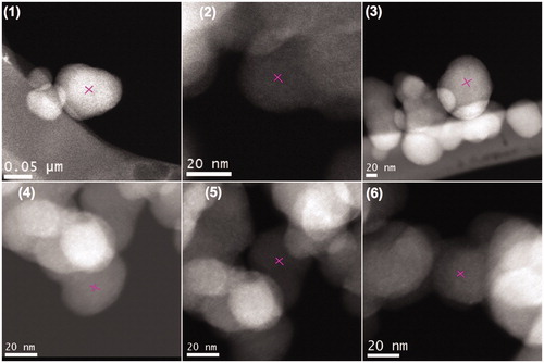 Figure 17. HAADF images of R250 particles along with crosshairs show the beam position of respective images.