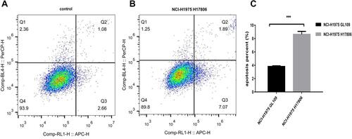 Figure 4 Overexpression of circRNA6783 (NCI-H1975 H17806) promoted LA cell apoptosis in vitro. (A and B) The apoptosis rates of LA cells (Q2+Q3) were measured by flow cytometry 24 h after transfection with circRNA6783. Q1: dead cells; Q2: later apoptosis; Q3: early apoptosis; Q4: living cells. (C) NCI-H1975 H17806 promoted LA cell apoptosis in vitro. The values were the average of three independent experiments. ***P<0.001 vs. control (NCI-H1975 GL109).