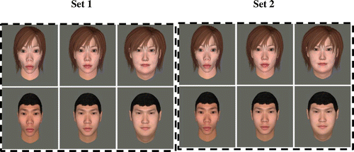 Figure 4. Morphed target faces used in Study 1.