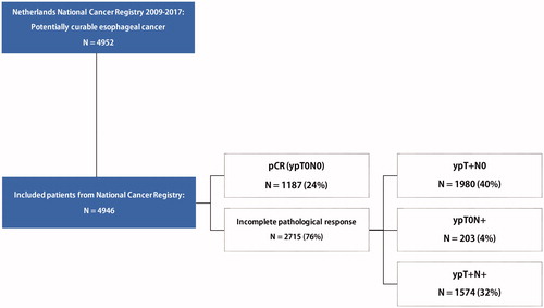 Figure 1. Pathological tumor response of included patients with locally advanced esophageal cancer treated with neoadjuvant chemoradiotherapy (CROSS) followed by esophagectomy in the Netherlands.
