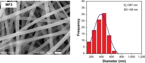 Figure 4 SEM images of nanofiber mats and their fiber-size distributions.Note: SEM image at 10,000× of MF0, MF1, MF2, and MF3 nanofiber mats.Abbreviations: SEM, scanning electron microscope; MF0, mangosteen fiber 0; MF1, mangosteen fiber 1; MF2, mangosteen fiber 2; MF3, mangosteen fiber 3.