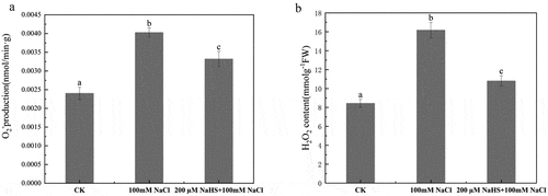 Figure 5. Effects of NaHS on ROS in millet seedlings under salt stress. a: rate of oxygen radical production; b: H2O2 content. Each value is the mean of three biological replicates, with different lowercase letters indicating significant differences between treatments (P＜.05).