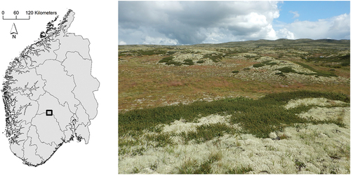 Figure 1. Location of Imingfjell in southern Norway and a picture of the study site. Lichen heaths were mainly located on the ridgetops, with Cladonia, Flavocetraria, Cetraria, and Alectoria being the most dominant genera. Shrubs (mainly B. nana and E. nigrum) were located on the midslopes and on the ridgetops. The lichen north-facing and lichen south-facing plots were located on the slopes of the ridgetops. Figure from Aartsma et al. (Citation2020).