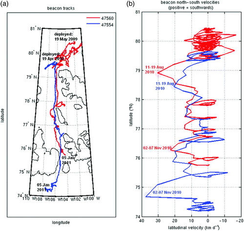 Fig. 6 a) The tracks of two ice island fragments bearing Canadian Ice Service satellite-tracked beacons #47560 (red) and #47554 (blue) that entered the QEI in August 2010 through the Prince Gustaf Adolf Sea. b) Latitudinal or meridional velocity component of the ice island fragments during their track southward through the QEI.