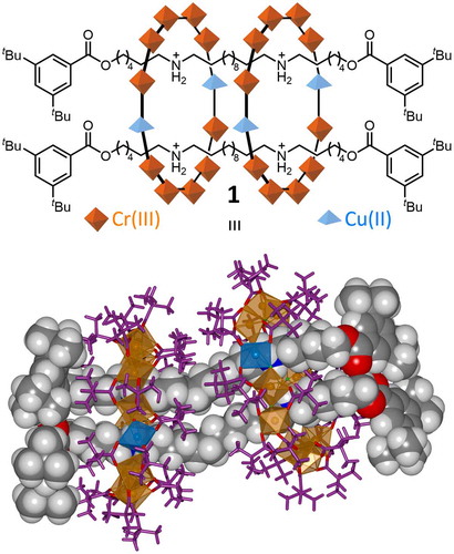 Figure 3. (colour online) Hybrid organic-inorganic [4]rotaxane 1 comprises two heterometallic rings and two bis(dialkylammonium) dumbbells.