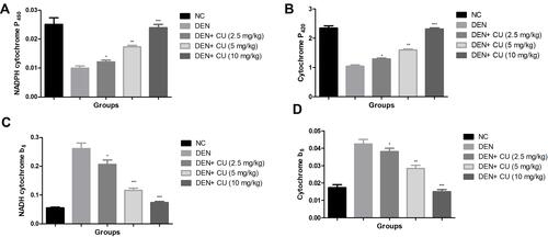 Figure 5 Effect of curcumae on the phase I and Phase II enzymes of obesity-induced hepatocellular carcinoma in rats. (A) NADPH cytochrome P450, (B) cytochrome P420, (C) NADPH cytochrome b5 and (D) cytochrome P5. Tested group rate were compared with the DEN control group rats. *P<0.05, **P<0.01 and ***P<0.001 were considered as significant, more significant and extreme significant, respectively.