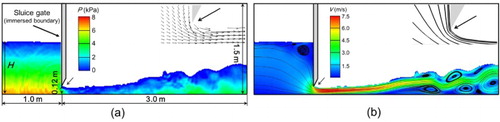 Figure 5. Flow patterns of the sluice gate flow with upstream water level H = 0.8 m. (a) Simulation setup and pressure distribution; (b) Velocity magnitude and streamlines.