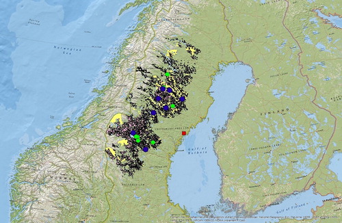 Figure 1. Overview of the studied region. Yellow areas, pink areas, green dots, blue dots, and the red dot represent FCS regions, FOCO regions, open terminals, closed terminals, and sthe biorefinery, respectively.